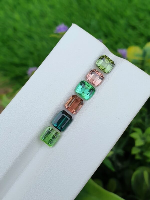 blue green pink multicolor tourmaline lot from afghanistana