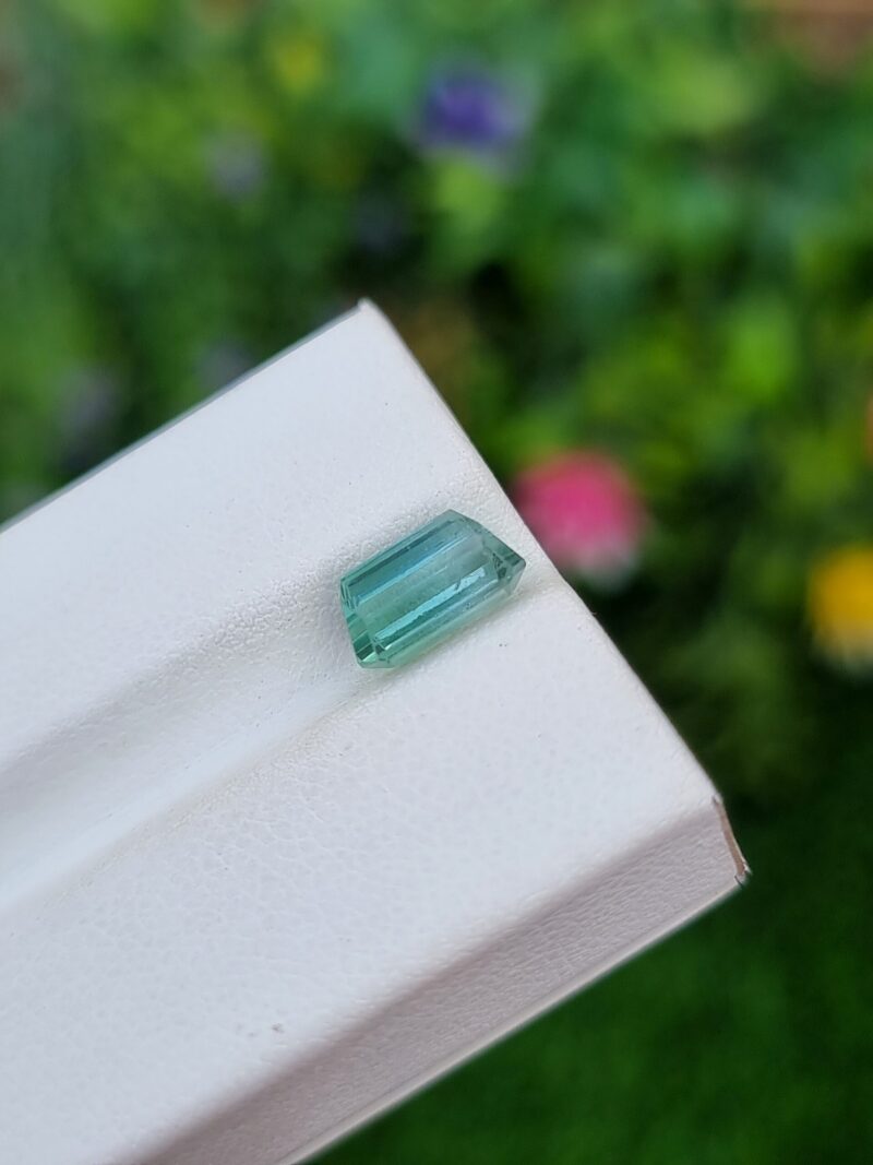 Bicolor Seafoam Tourmaline Stone From Afghanistan