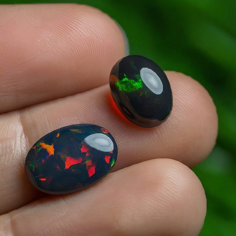 Black Opal