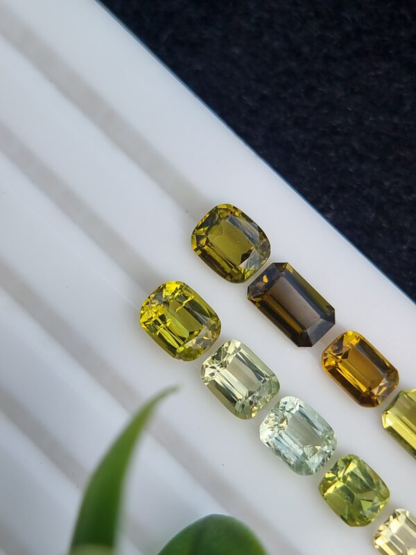 Lot of ten natural tourmalines, 8.53 ct total, with emerald and cushion cuts, from Afghanistan, untreated.