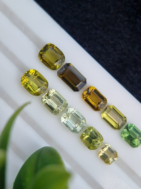 Lot of ten natural tourmalines, 8.53 ct total, with emerald and cushion cuts, from Afghanistan, untreated.